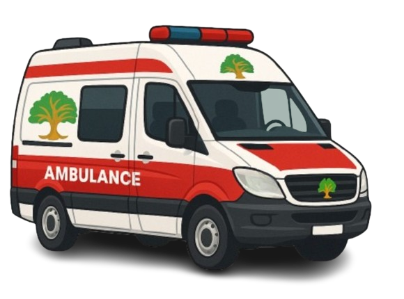 BodhiWheeler Professional Ambulance Fleet
